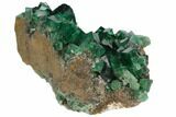 Gorgeous, Fluorite Crystal Cluster with Galena- Rogerley Mine #132993-2